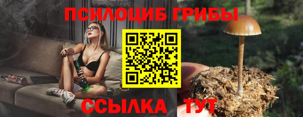 Псилоцибиновые грибы ЛСД Кандалакша